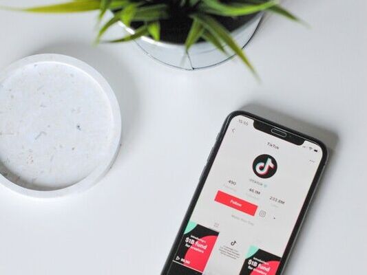 A phone on a white table showing a TikTok profile next to a green plant
